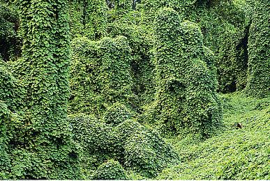 科幻游戏《最后的信号》Steam页面上线 支持简体中文